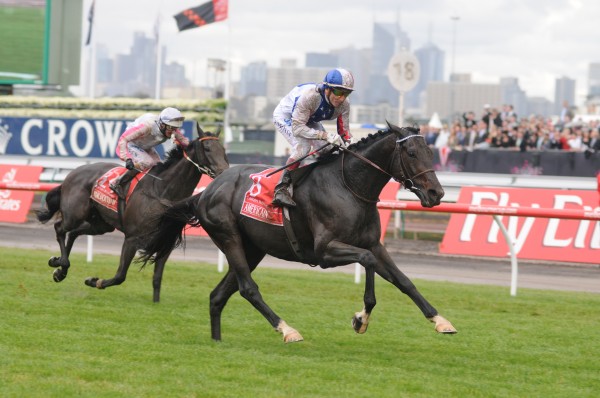 Bmw caulfield cup 2012 tips #2