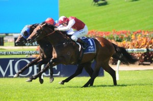 pierro-golden-slipper-2012