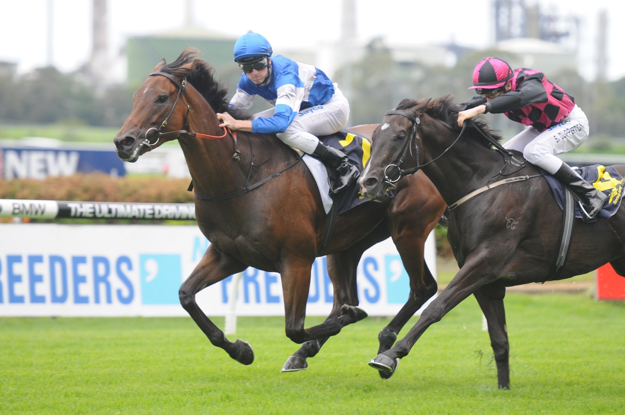Rain helps Frozen Ropes chances in Parramatta Cup 2013 Sports News