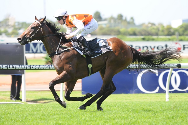 golden slipper market golden slipper 2013 market opens with overreach on top golden slipper market golden slipper 2013 market opens with overreach on top