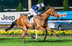 Sea Lord winning Group 2 at Moonee Valley - photo by Race Horse Photos Australia (Steven Dowden)