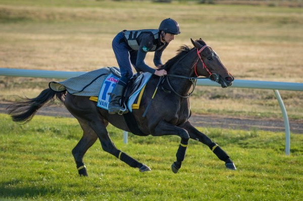 Lord Van Percy_22-10-14, Werribee_0003