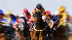 Another Wil aiming for confidence boost in 2026 Caulfield race