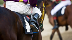 Mapping out another Melbourne Cup 2025 campaign