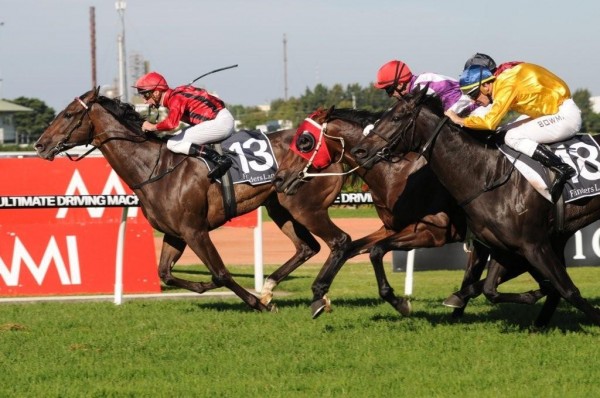 Laser Hawk heads 2014 Theo Marks Stakes Field