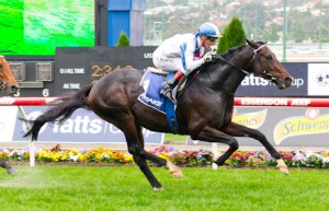 Americain winning the Drake Internaional Cup (Group 2) at Moonee Valley - photo by Race Horse Photos Australia