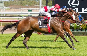 Flemington Raceday