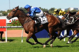 more-joyous-2012-canterbury-stakes