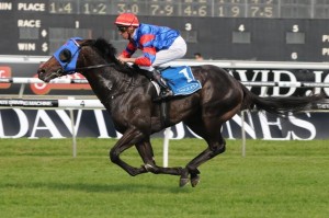 Pierro Champagne Stakes