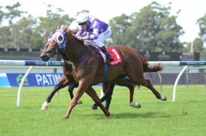 raceway-golden-slipper-2012