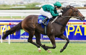 Samaready winning the Patinack Farm Blue Diamond Prelude at Caulfield