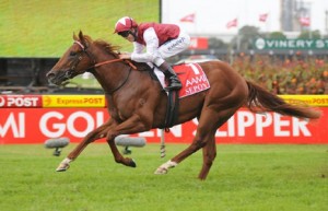 Sepoy winning the Golden Slipper