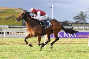 Pinwheel is Neil Evan's tip for Sundays Group 1 Sir Rupert Clarke Stakes