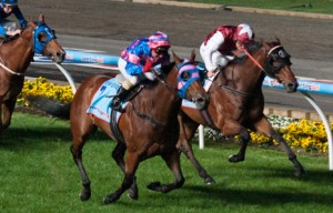 Moonee Valley Raceday