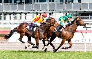 Snitzerland winning the Danehill Stakes at Flemington - photo by Race Horse Photos Australia