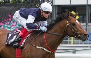 Green Moon winning the Turnbull Stakes at Flemington - photo by Race Horse Photos Australia