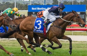 Seymour Raceday