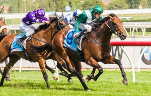 All Too Hard winning the Sportingbet C.F. Orr Stakes at Caulfield - photo by Race Horse Photos Australia (Steven Dowden)