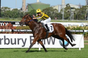 Bel Sprinter 300313 0447