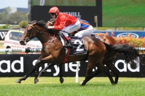 Charlie Boy 171112 3239