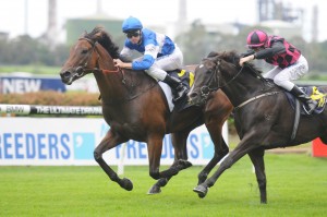 Frozen Rope 1603137595