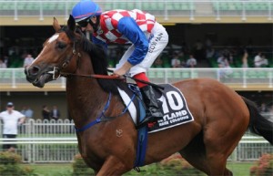 streama-magic-night-stakes