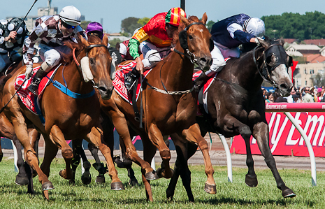 Happy Trails - Turnbull Stakes 2014