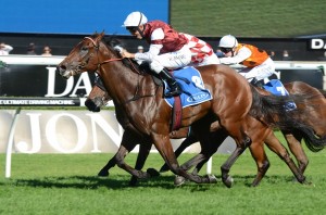 Last years Sires Produce Stakes winner Guelph