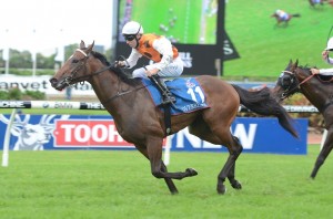 Overreach 060413 1174