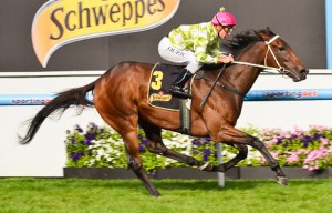 You're So Good winning at Moonee Valley - photo by Race Horse Photos Australia