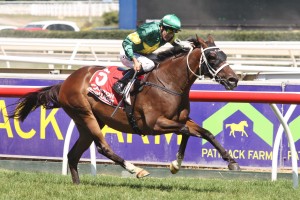 Foreteller,Peter Young Stakes,Group 2_23-02-2013_WIN_Caulfield_5__453