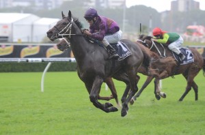 Platinum Kingdom 200413 3381