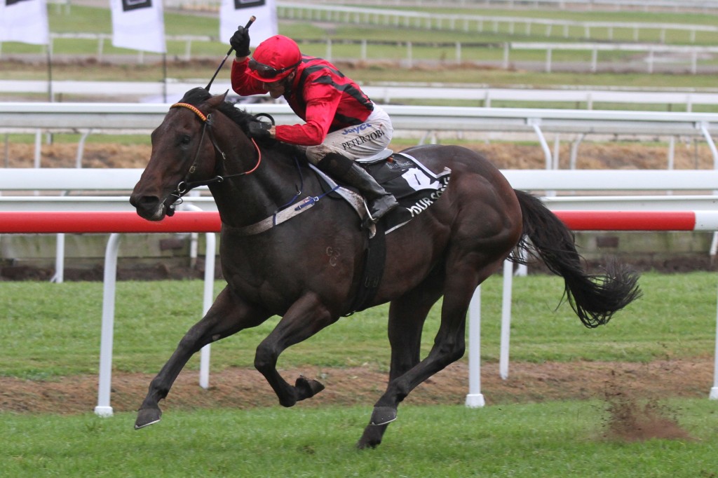 btc cup betting