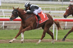 Missy Longstocking - Damian Browne