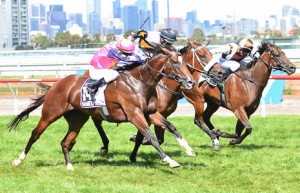 Shamexpress winning the Newmarket Handicap at Flemington - photo by Race Horse Photos Australia