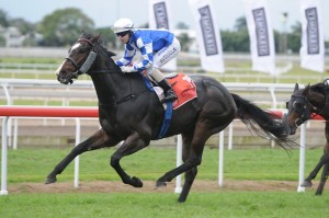 Howmuchdoyouloveme is our Best Long Shot on Tattersall's Tiara 2014 day