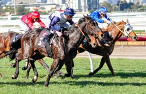 Lady Lakshmi winning the Ken Cox Handicap at Flemington - photo by Race Horse Photos Australia
