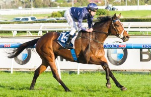 Atlantic Jewel winning the New Zealand Bloodstock Memsie Stakes at Caulfield - photo by Race Horse Photos Australia