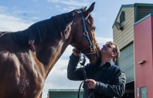 Countdown to the Spring Racing Carnival begins - photo by Race Horse Photos Australia