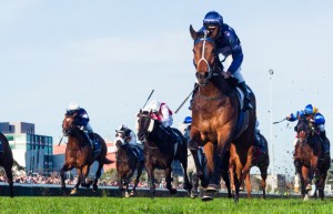 Atlantic Jewel winning the New Zealand Bloodstock Memsie Stakes at Caulfield - photo by Race Horse Photos Australia