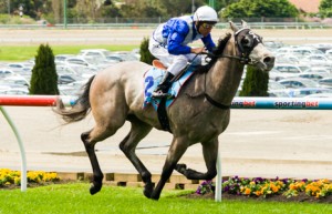 Race Track Raceday Divine Calling winning the F Vitale & Sons 3YO Handicap at Race Track - photo by Race Horse Photos Australia