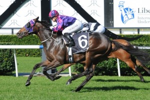 Dowdstown Charlie 250513 2422 Dowdstown Charlie