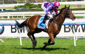 Fast 'n' Rocking winning the H.D.F. McNeil Stakes at Caulfield - photo by Race Horse Photos Australia