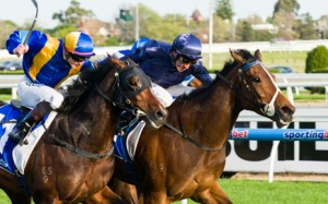 It's A Dundeel has had his odds shorten in 2014 Queen Elizabeth Stakes betting