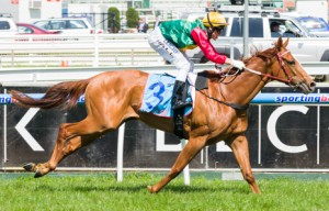 May's Dream winning the Procal Dairies Handicap at Caulfield - photo by Race Horse Photos Australia