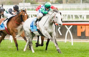 Puissance de Lune winning the Back to Caulfield P.B. Lawrence Stakes at Caulfield - photo by Race Horse Photos Australia