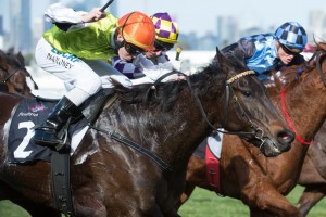 Race 6, Tuscan Fire, Patrick Moloney.1