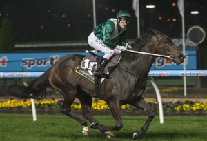 Samaready-8434 Samaready