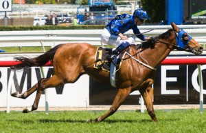 Buffering's odds have been crunched to win the BTC Cup 2014
