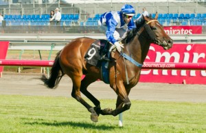 Flemington Raceday Ironstein winning the Queen Elizabeth Stakes (Group 2) at Flemington - photo by Race Horse Photos Australia